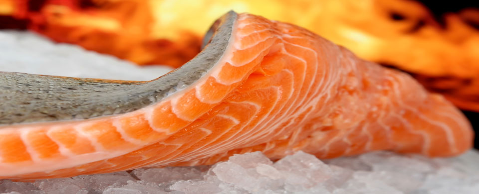 verse-zalm-filet